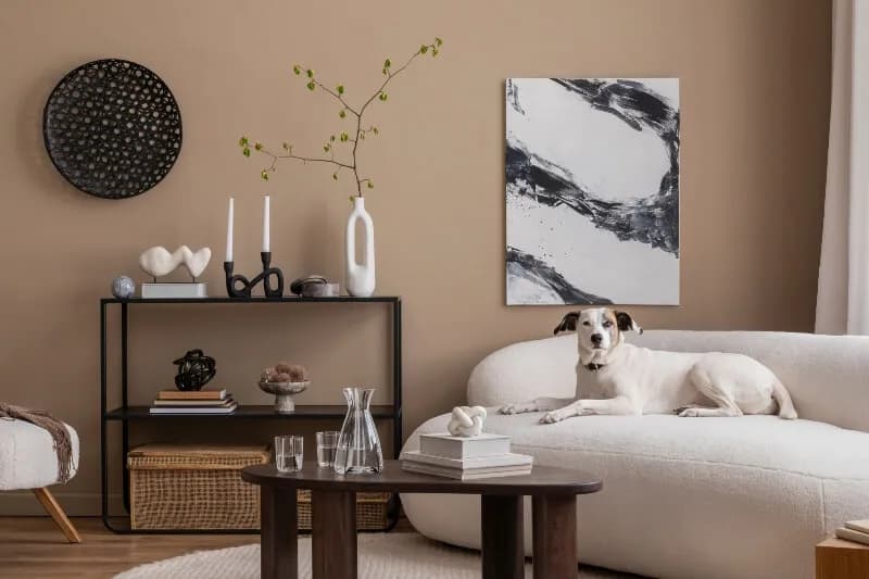 Modne kolory ścian – rewolucyjne trendy, które zmienią twoje wnętrze